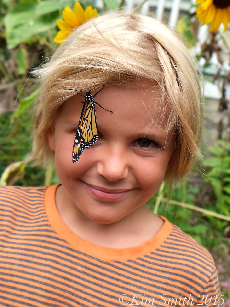 Meadow Monarch Day ©Kim Smith 2015 copy