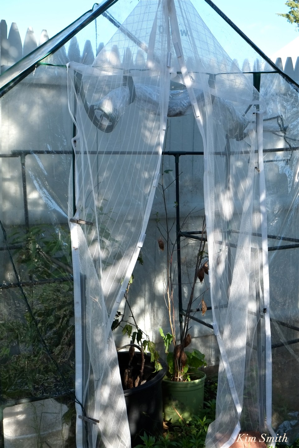 Screened butterfly cage-house copyright Kim Smith